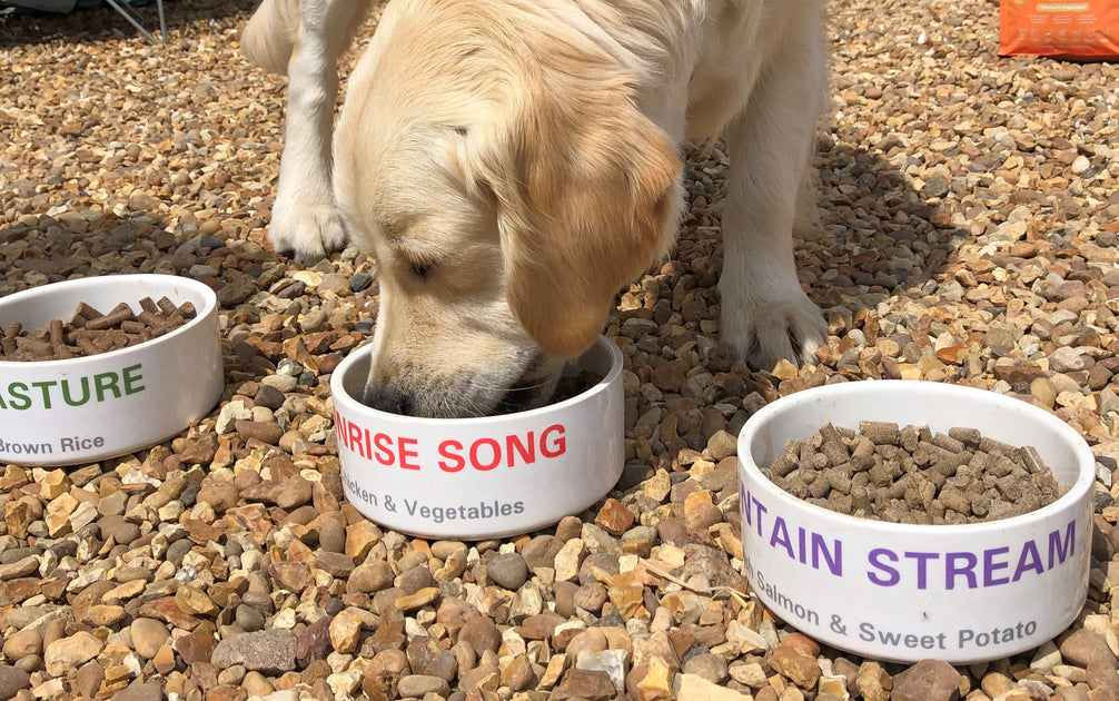 How to Feed Cold Pressed Dog Food Wilsons Pet Food Trade