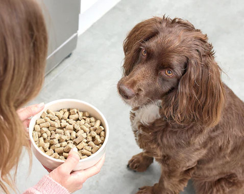 What is Cold Pressed Dog Food?