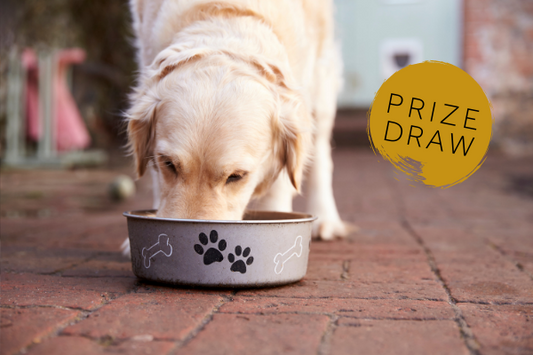 Win a Wilsons Dog Food Bundle