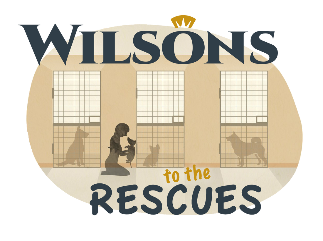 Introducing Wilsons to the Rescues