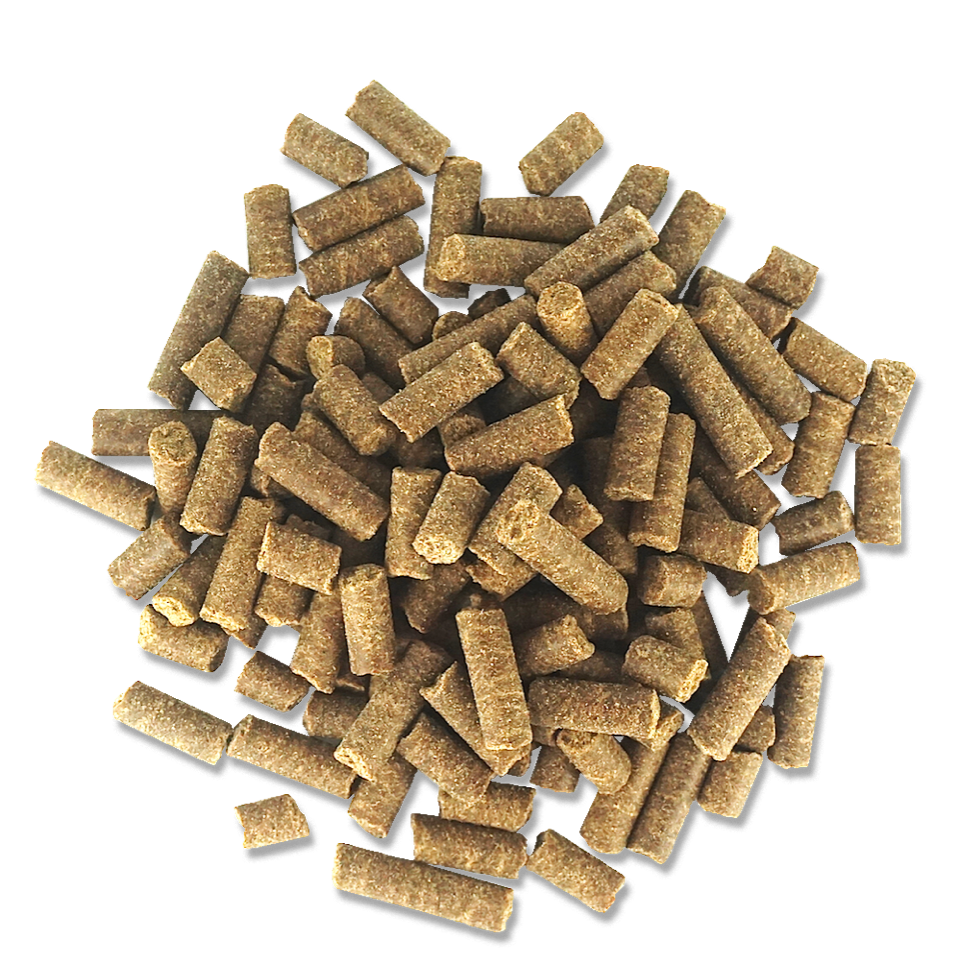 Puppy Cold Pressed Dog Food - Over 500kg